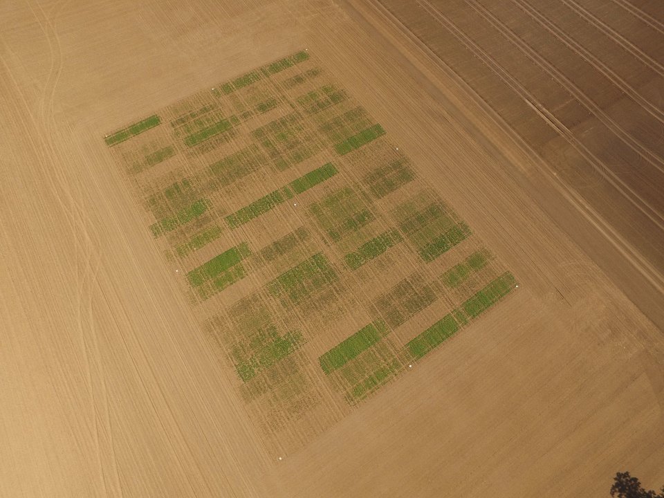 Landwirtschaftliche Testfl?chen von der Vermessungsdrohne aus fotografiert